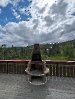 Ute_4